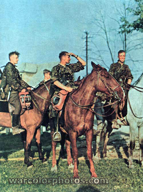 Cavalry