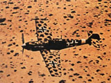 Messerchmitt Bf 109 in Africa